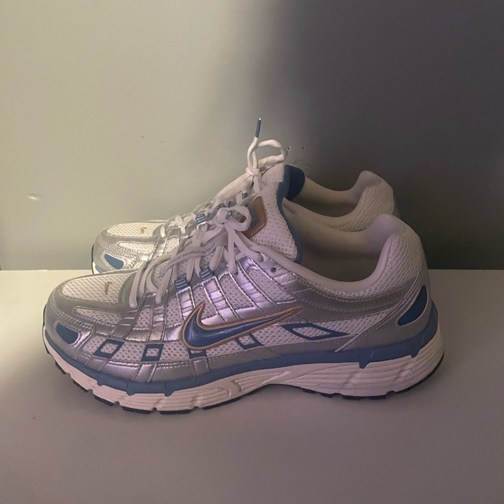 Nike p-6000 premium